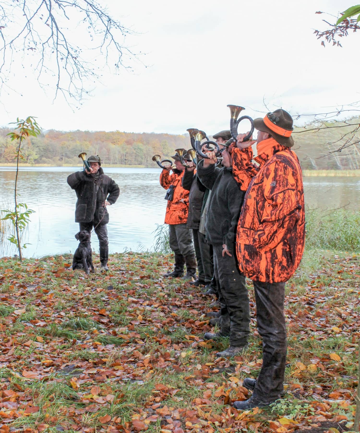 Jäger bei einer Drückjagd, die ins Horn blasen